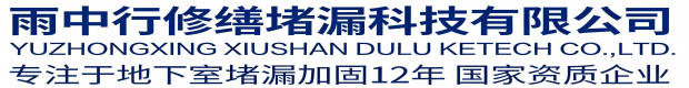 广东雨中行修缮堵漏科技有限公司